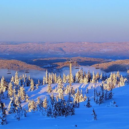 Sjusjoen Hytteutleie As Extérieur photo