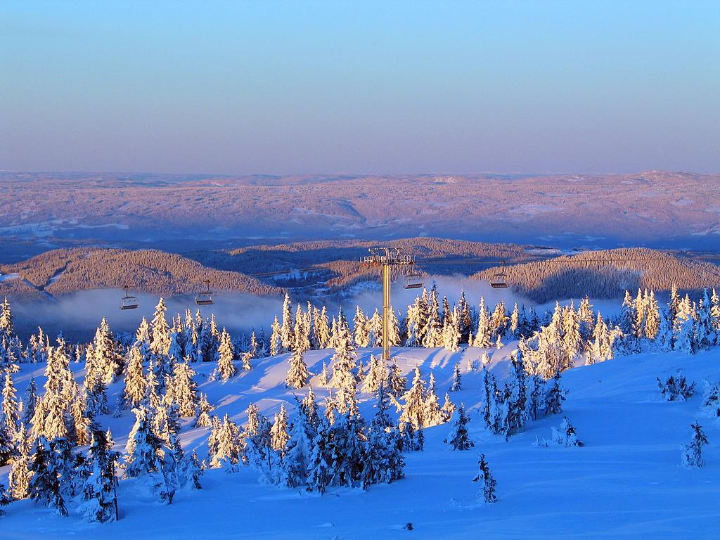 Sjusjoen Hytteutleie As Extérieur photo