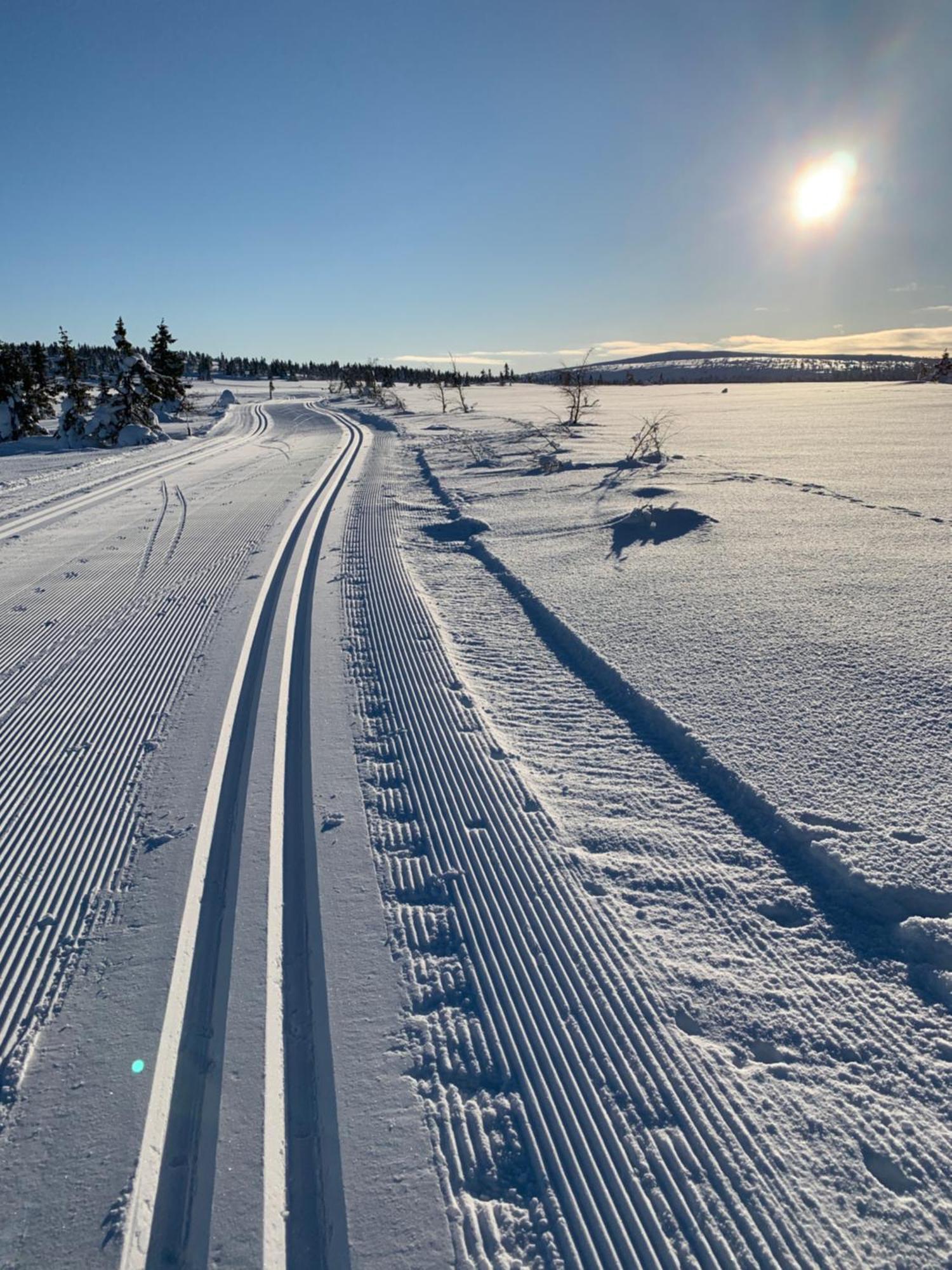 Sjusjoen Hytteutleie As Extérieur photo