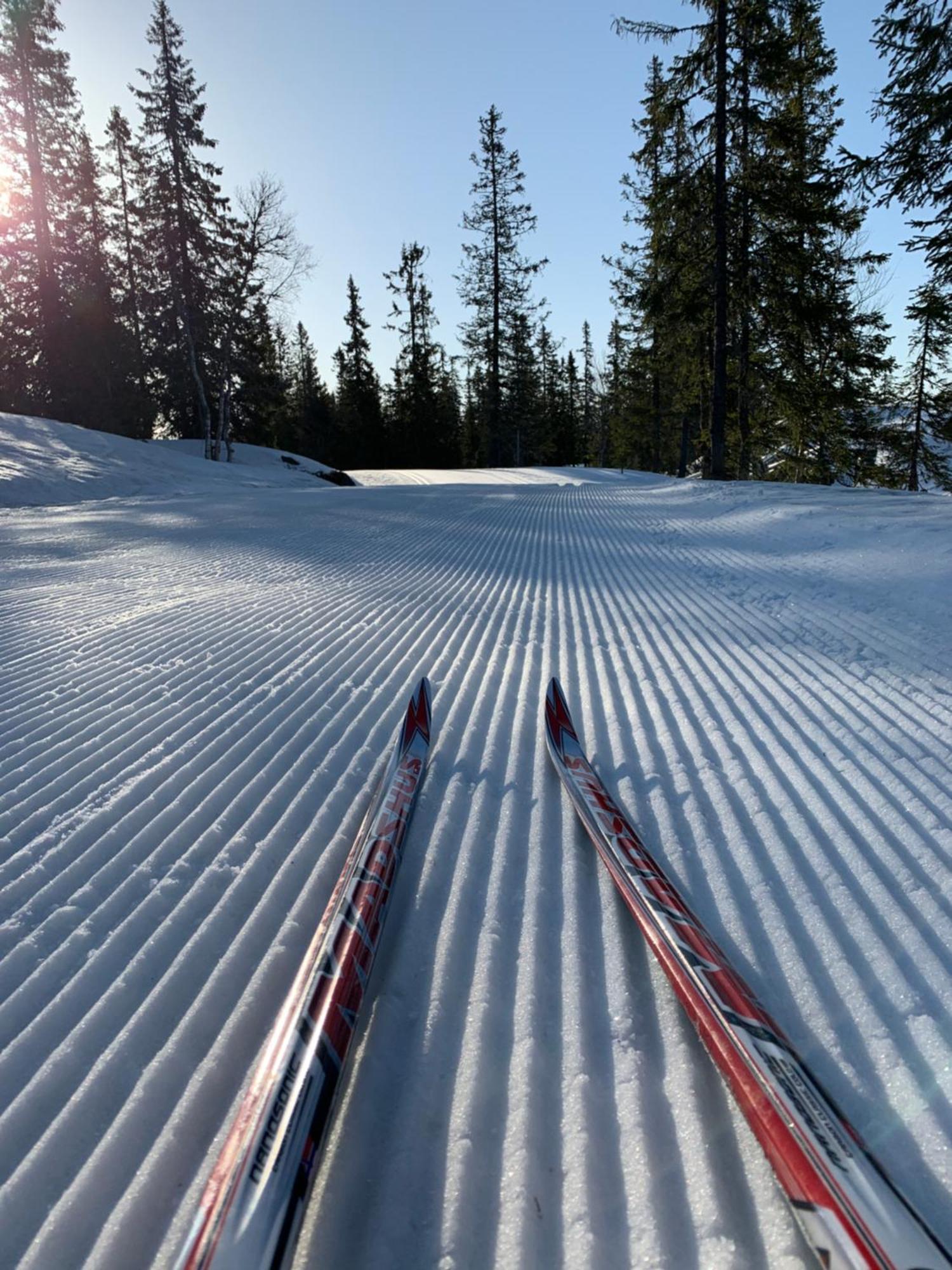 Sjusjoen Hytteutleie As Extérieur photo
